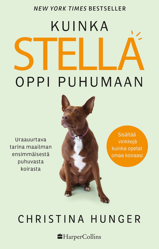 Kuinka Stella oppi puhumaan (e-bok) av Christina Hunger