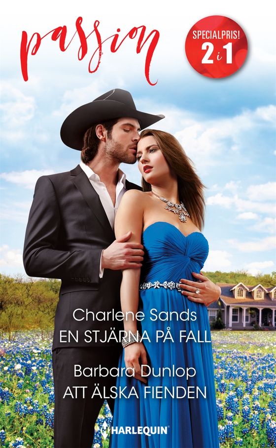 En stjärna på fall / Att älska fienden (e-bok) av Charlene Sands