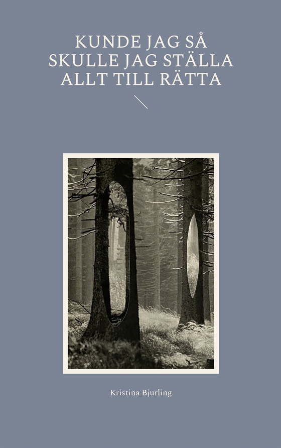 Kunde jag så skulle jag ställa allt till rätta (e-bok) av Kristina Bjurling