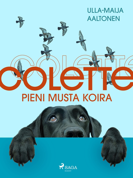 Colette, pieni musta koira (e-bok) av Ulla-Maija Aaltonen