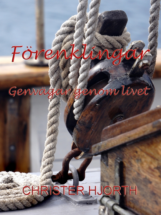 Förenklingar: Genvägar genom livet
