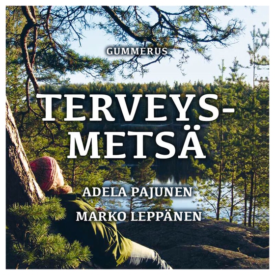 Terveysmetsä