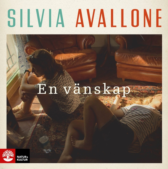 En vänskap (ljudbok) av Silvia Avallone