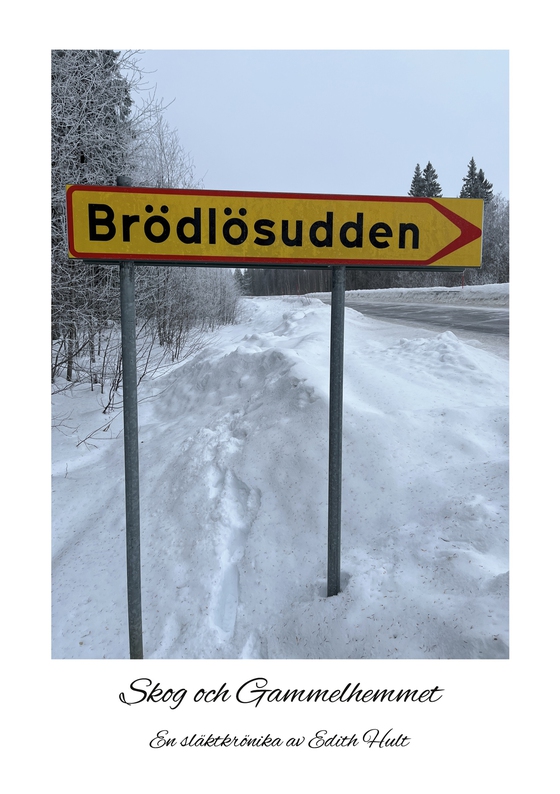 Brödlösudden: Skog och Gammelhemmet (e-bok) av Edith Hult