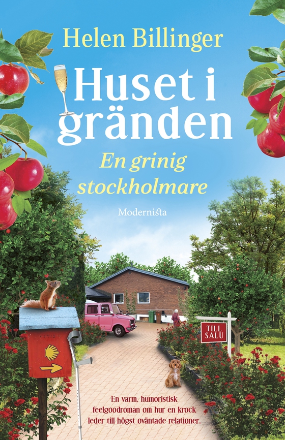 Huset i gränden - En grinig stockholmare