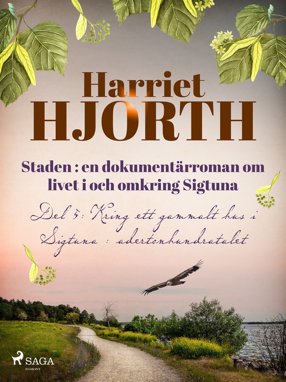 Staden : en dokumentärroman om livet i och omkring Sigtuna