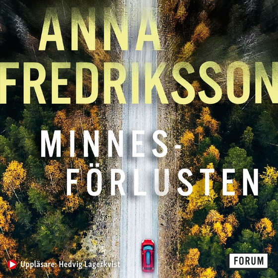 Minnesförlusten (ljudbok) av Anna Fredriksson