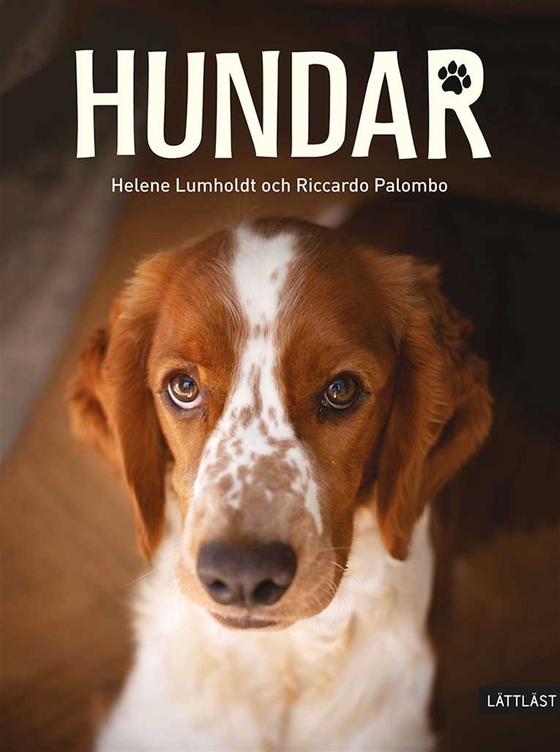 Hundar (lättläst) (e-bok) av Helene Lumholdt