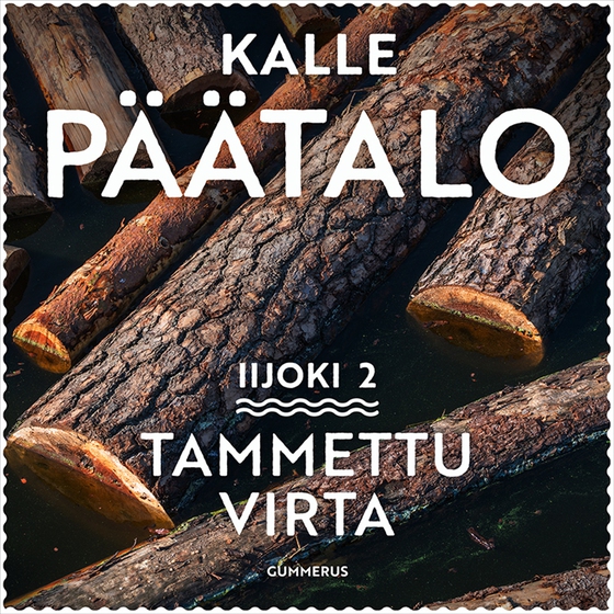 Tammettu virta