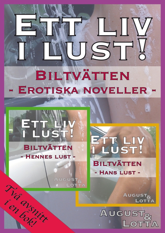 Biltvätten – erotiska noveller