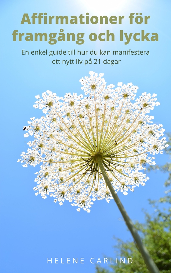Affirmationer för framgång och lycka - En enkel guide till hur du kan manifestera ett nytt liv på 21 dagar (e-bok) av Helene Carlind