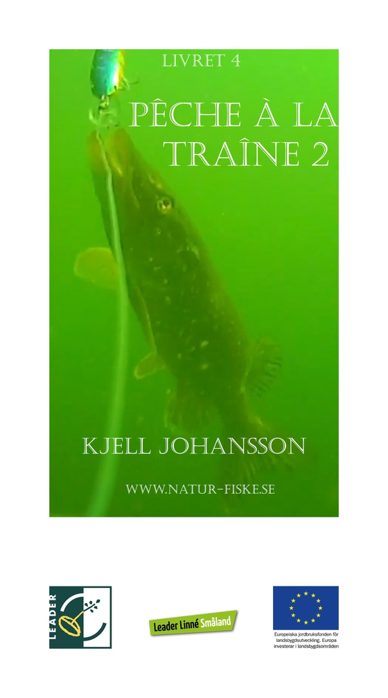 Pêche à la traîne 2