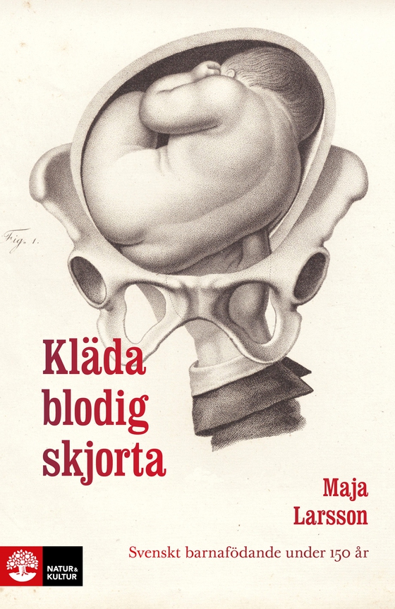 Kläda blodig skjorta : Svenskt barnafödande under 150 år (e-bok) av Maja Larsson