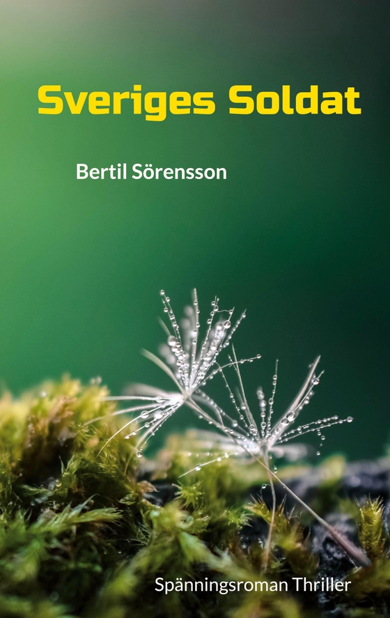 Sveriges Soldat: Spänningsroman Thriller