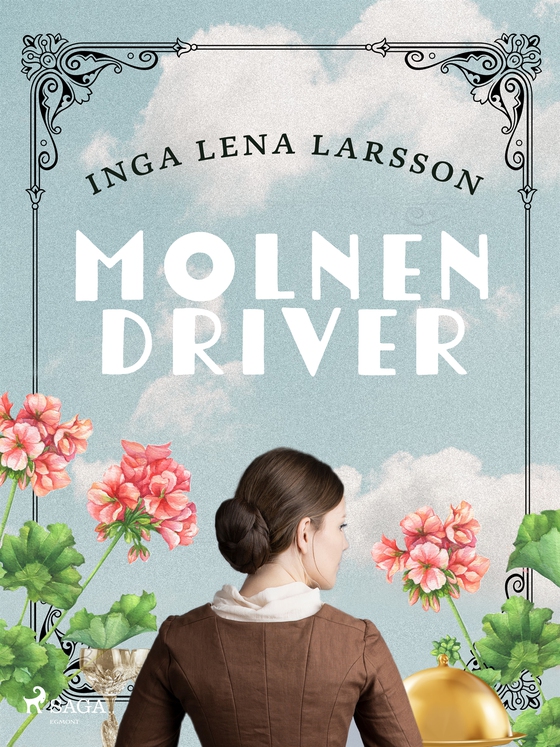 Molnen driver