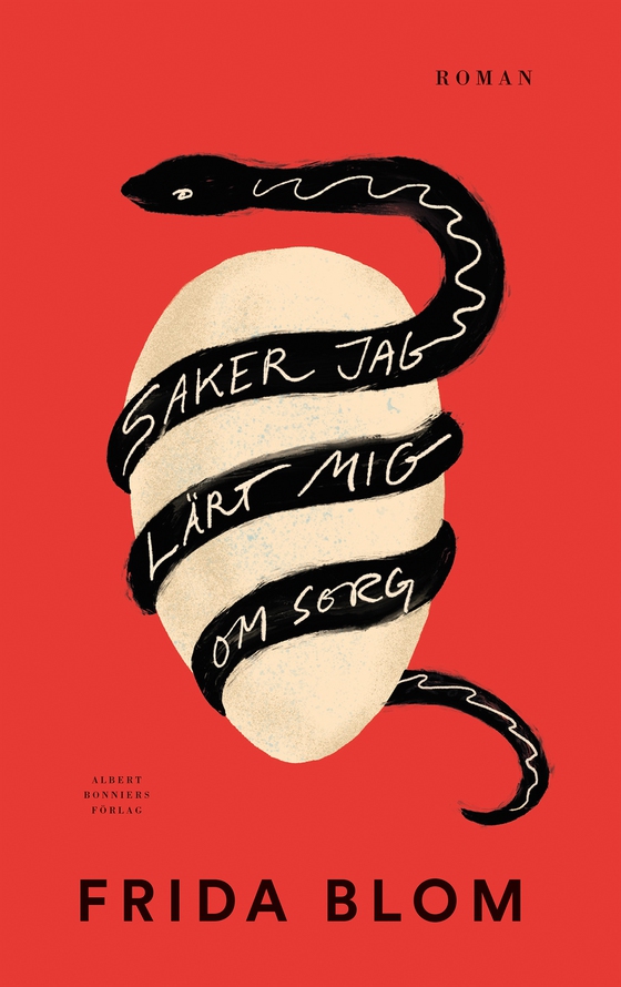 Saker jag lärt mig om sorg (e-bok) av Frida Blom