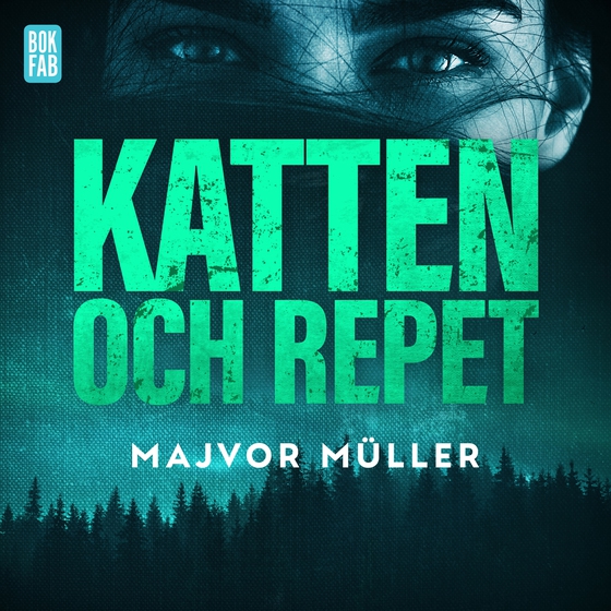 Katten och repet