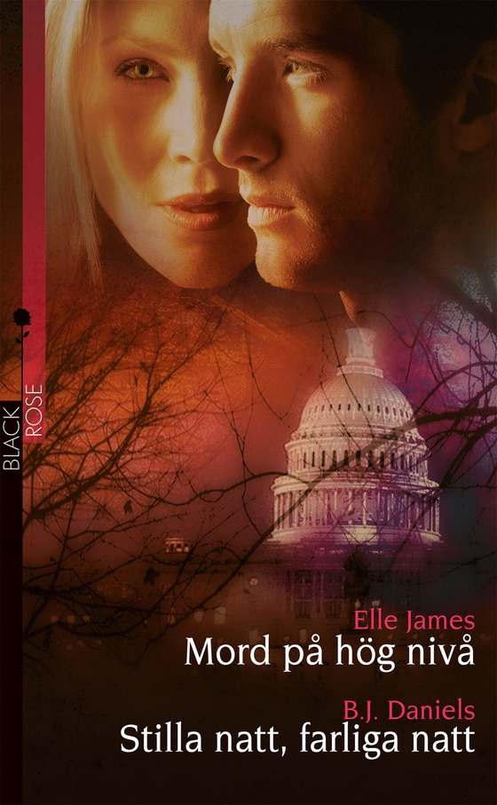 Mord på hög nivå / Stilla natt, farliga natt (e-bok) av Elle James
