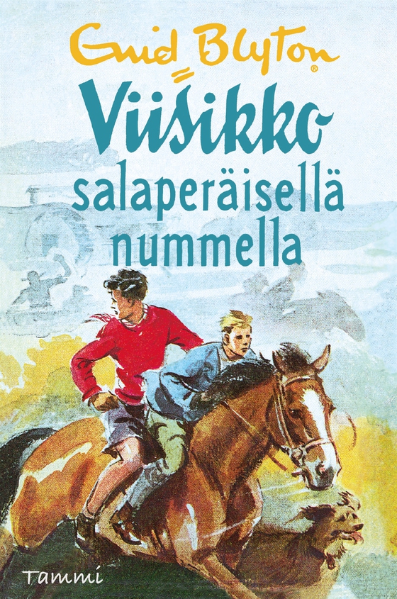 Viisikko salaperäisellä nummella