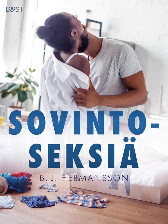 Sovintoseksiä – eroottinen novelli