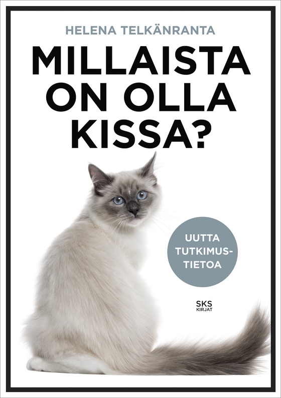 Millaista on olla kissa?
