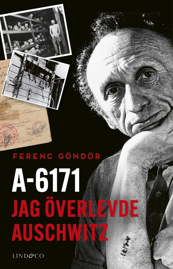 A-6171 : jag överlevde Auschwitz (e-bok) av Ferenc Göndör