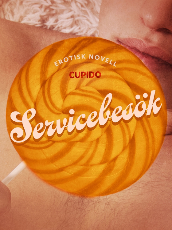 Servicebesök - erotisk novell