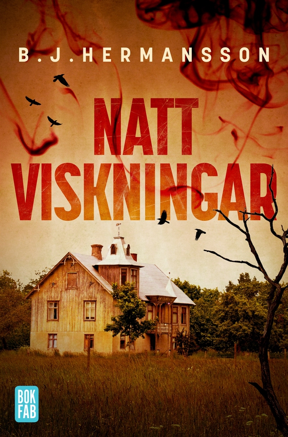 Nattviskningar (e-bok) av B. J. Hermansson