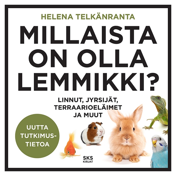 Millaista on olla lemmikki? (ljudbok) av Helena Telkänranta