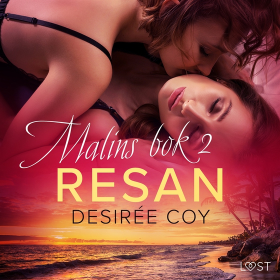 Resan - Malins bok 2