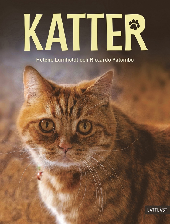 Katter (lättläst)