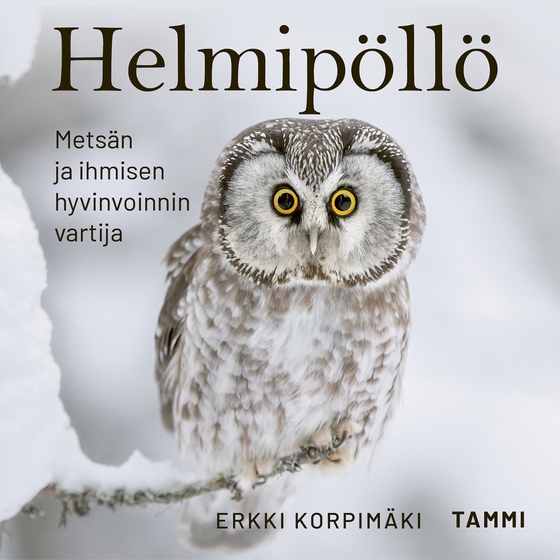 Helmipöllö