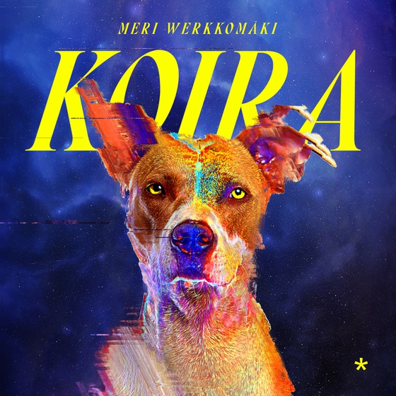 Koira