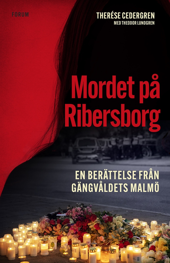 Mordet på Ribersborg : en berättelse från gängvåldets Malmö (e-bok) av Theodor Lundgren