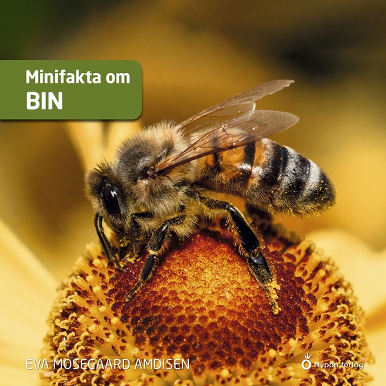 Minifakta om bin
