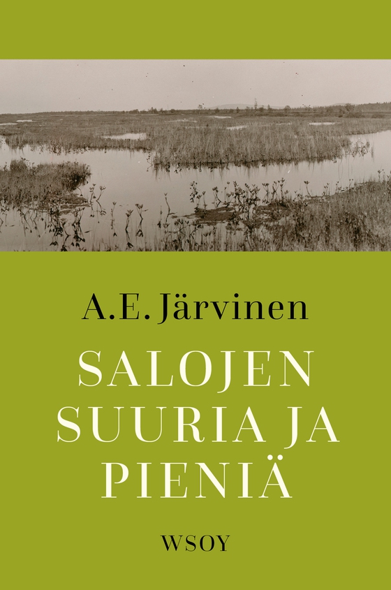Salojen suuria ja pieniä (e-bok) av A. E. Järvinen