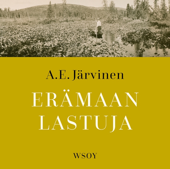 Erämaan lastuja