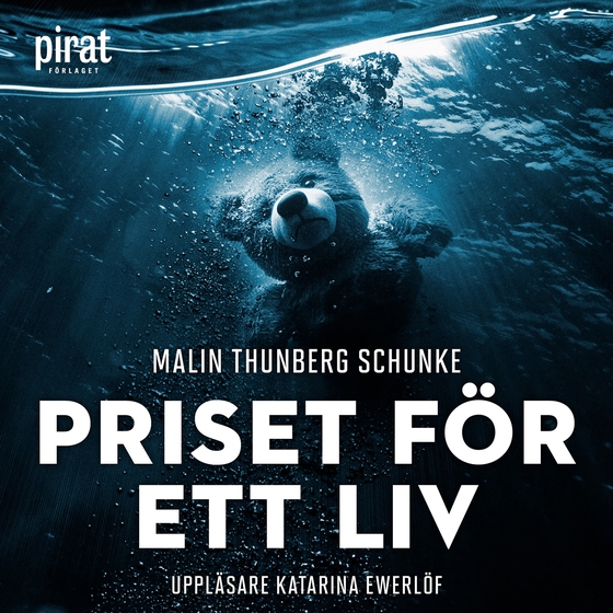 Priset för ett liv (ljudbok) av Malin Thunberg Schunke