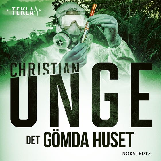 Det gömda huset