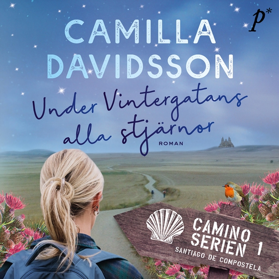 Under vintergatans alla stjärnor (ljudbok) av Camilla Davidsson