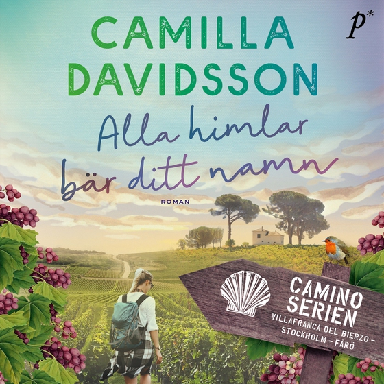 Alla himlar bär ditt namn (ljudbok) av Camilla Davidsson