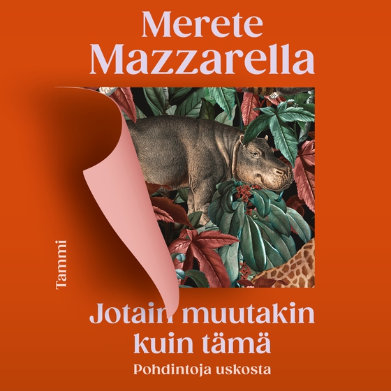 Jotain muutakin kuin tämä