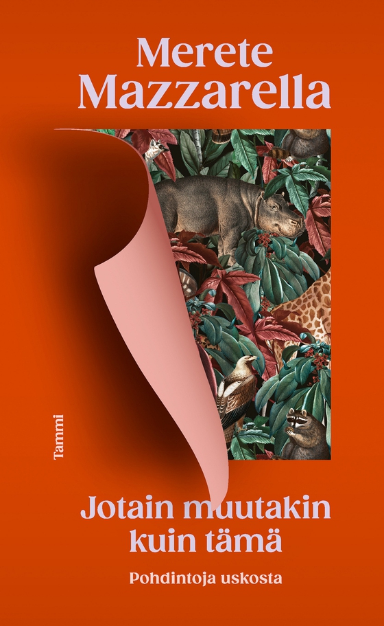 Jotain muutakin kuin tämä (e-bok) av Merete Mazzarella