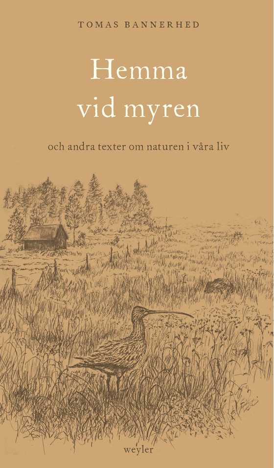 Hemma vid myren : och andra texter om naturen i våra liv (e-bok) av Tomas Bannerhed