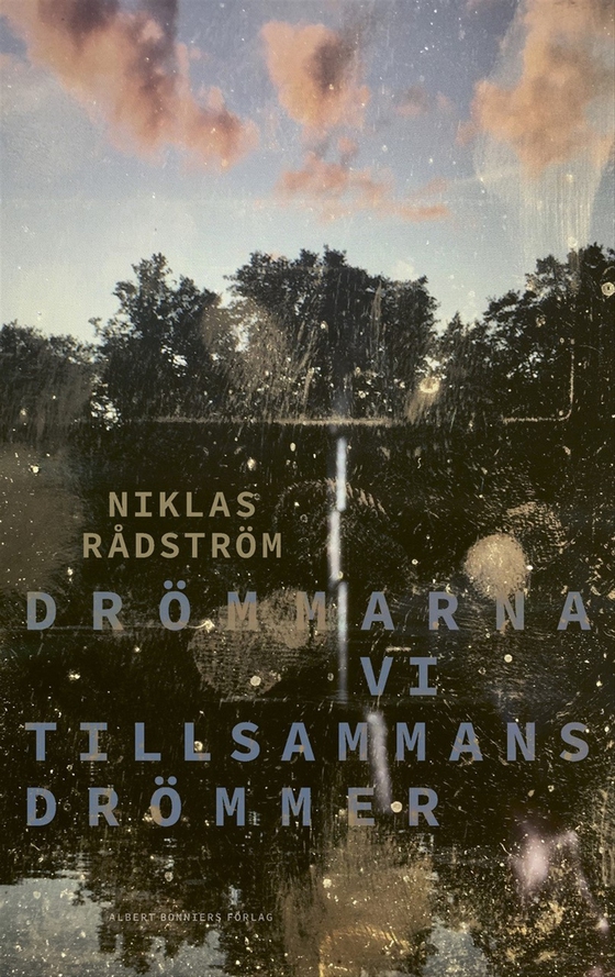 Drömmarna vi tillsammans drömmer (e-bok) av Niklas Rådström