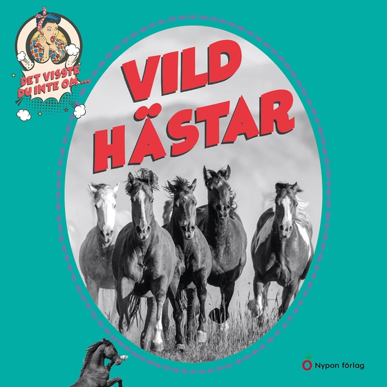 Det visste du inte om vildhästar
