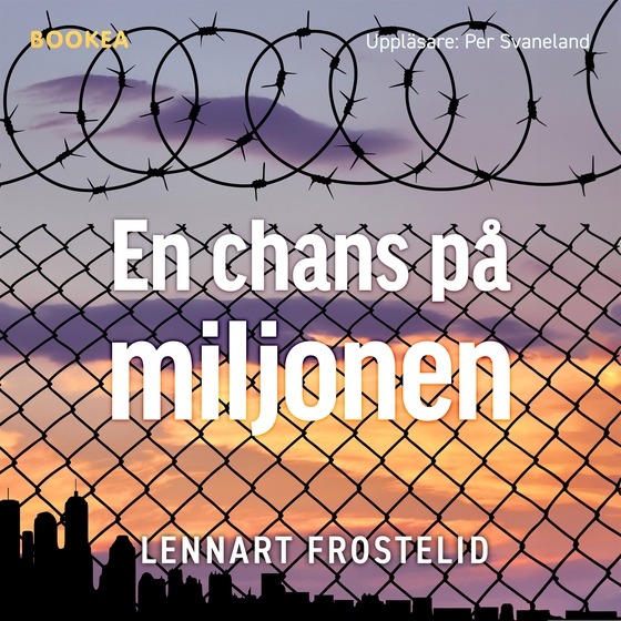 En chans på miljonen