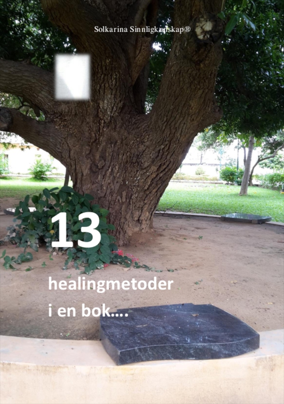 13 healingmetoder i en bok