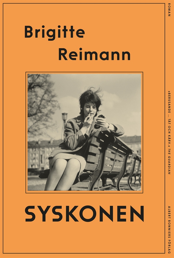 Syskonen (e-bok) av Brigitte Reimann