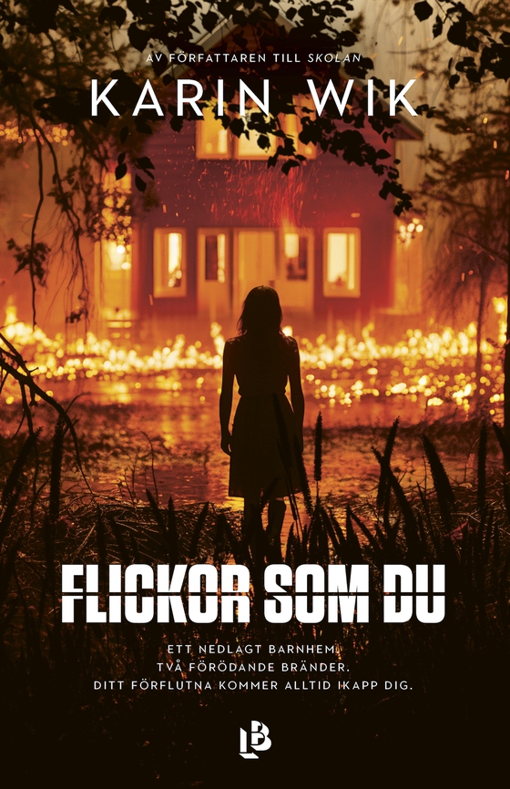 Flickor som du (e-bok) av Karin Wik